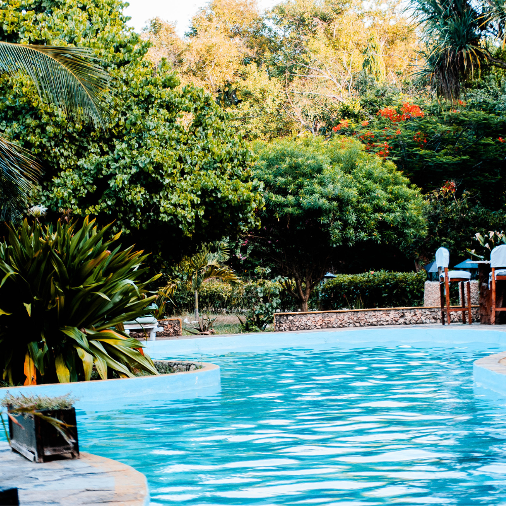 Pool Circulation & Filtration: Daily to Seasonal Routines That Work